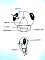 IL CAPO-THE HEAD (scheda: 15)