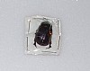  3810