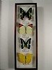 cm 13x39 € 24 255