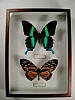 cm 19x26 € 25 261