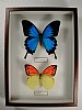 cm 19x26 € 23 262