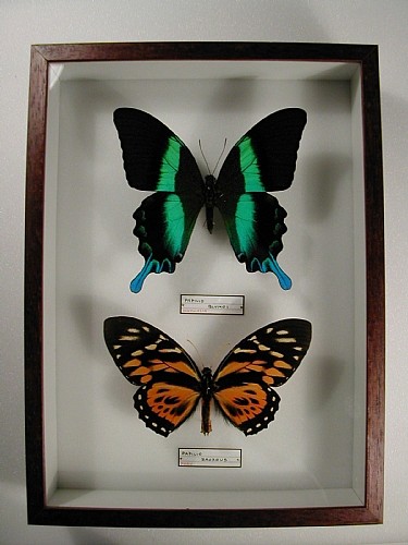 cm 19x26 € 25