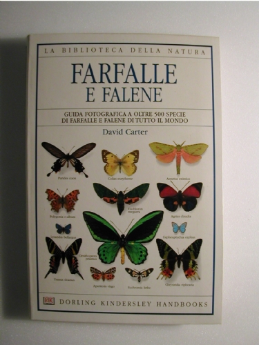 Farfalle e falene