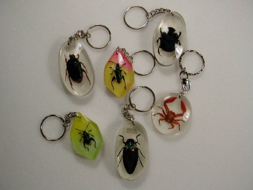 Portachiavi con insetti