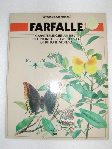 Farfalle Orsa Maggiore